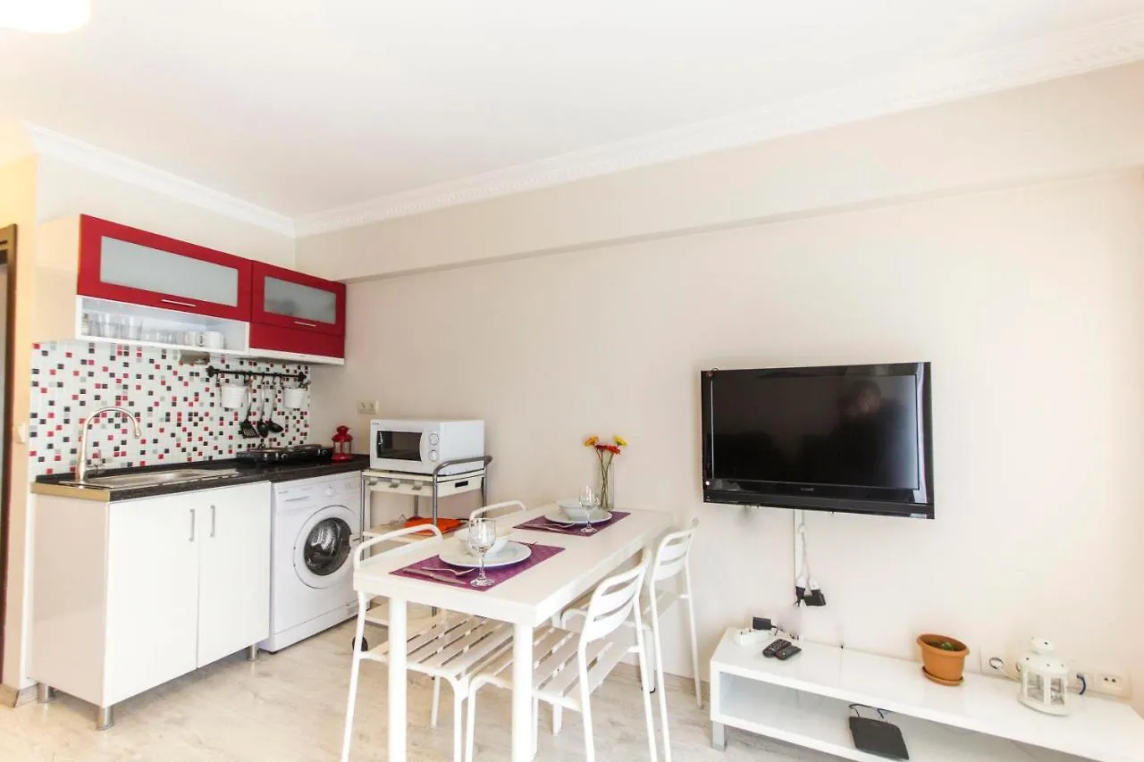 아파트 Aytur Suites 44 이스탄불 터키